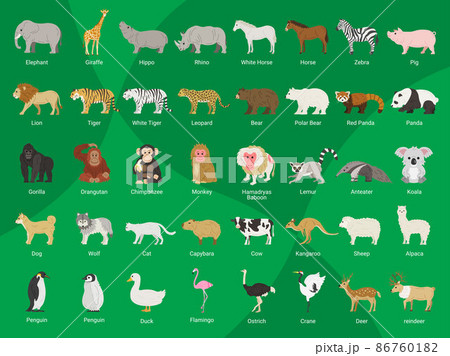 たくさんの種類の動物のイラストセット 86760182