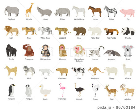 たくさんの種類の動物のイラストセット 86760184