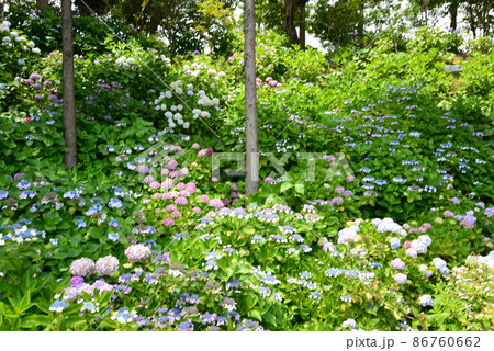 二本松寺へ行きました　　＃29 86760662