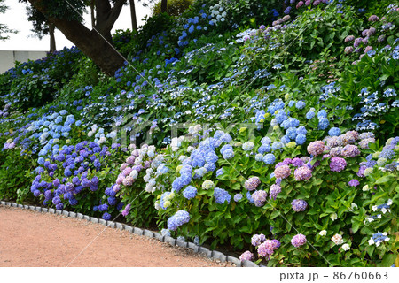 二本松寺へ行きました　　＃30 86760663