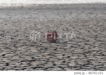 Tandohang mud flat Tandohang mud flat 86761101