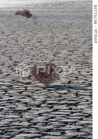 Tandohang mud flat Tandohang mud flat 86761108