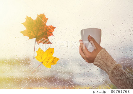 Woman hands with cup of coffee near window with raindrops and fallen maple leaf in the autumn day. loneliness concept. Woman hands with cup of coffee near window with raindrops and fallen maple leaf in the autumn day. loneliness concept. 86761768
