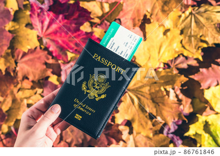 American passport with boarding pass in the woman hand maple leaves background in the autumn forest.  Travel Concept. Top view. Indian summer. 86761846