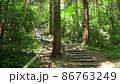 登山道～福岡県宗像市城山～ 86763249