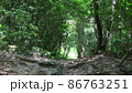 山道～福岡県宗像市城山～ 86763251
