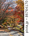 紅葉。 86764170