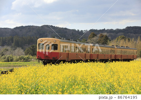 小湊鉄道。 小湊鉄道。 86764195