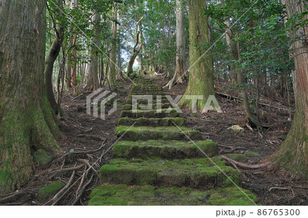 【阿弥陀寺 (奥の院への参道)】 和歌山県東牟婁郡那智勝浦町南平野 86765300