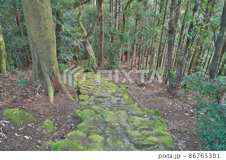 【阿弥陀寺 (奥の院への参道)】 和歌山県東牟婁郡那智勝浦町南平野 【阿弥陀寺 (奥の院への参道)】 和歌山県東牟婁郡那智勝浦町南平野 86765301
