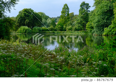 Beautiful landscape of trees foliage and a Pond in West Yorkshire in the United Kingdom 86767679