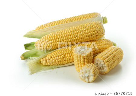 Fresh raw corn isolated on white background Fresh raw corn isolated on white background 86770719