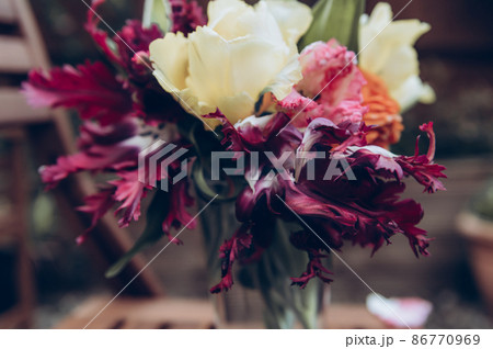 Bunch of Parrot Style Tulips 86770969