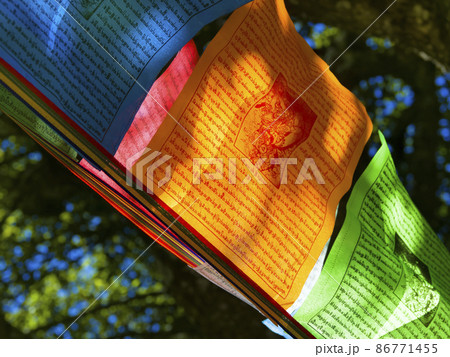 チベット仏教のタルチョ  チベット仏教のタルチョ  86771455