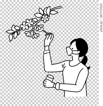 農業女孩 農業工作 授粉工作 插圖 單色 黑白 86772028