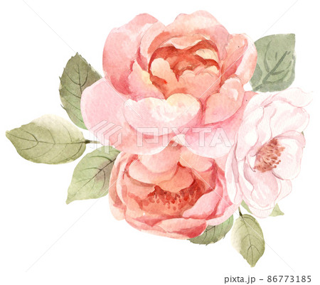 Dusty pink, cream rose, pale flowers, white anemone horizontal botanical design. Eucalyptus, emerald and burgundy greenery card. Floral pastel watercolor 86773185