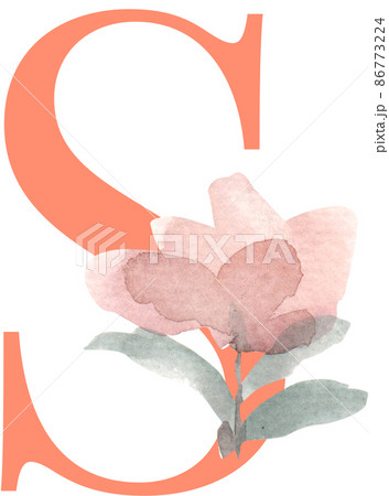 Dusty pink, rose, pale flowers, botanical alphabet A-Z design. Eucalyptus, emerald and burgundy greenery card. Floral pastel watercolor letter 86773224