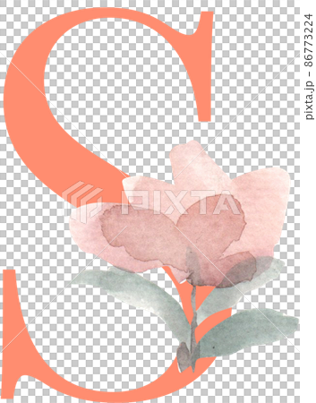 Dusty pink, rose, pale flowers, botanical alphabet A-Z design. Eucalyptus, emerald and burgundy greenery card. Floral pastel watercolor letter 86773224