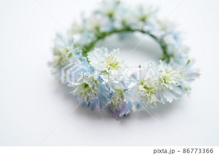 デルフィニウムの花冠 86773366
