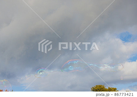 シャボン玉2022 86773421