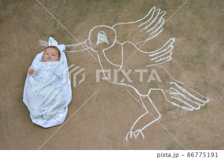 Stork holding a newborn baby in a white blanket Stork holding a newborn baby in a white blanket 86775191
