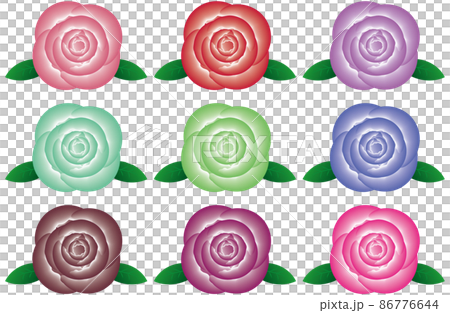Rose flower Rose flower 86776644