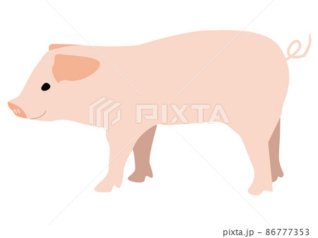 豚 86777353