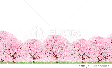 桜(背景素材) 桜(背景素材) 86778667