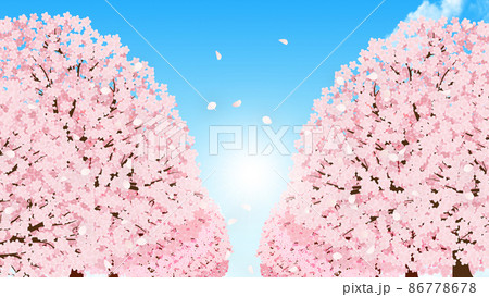 桜（背景素材） 86778678