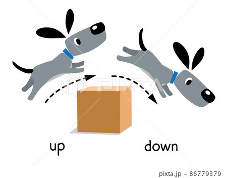 Preposition of movement. Dog jumps up and down Preposition of movement. Dog jumps up and down 86779379