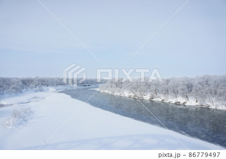 凍結する樹木 86779497