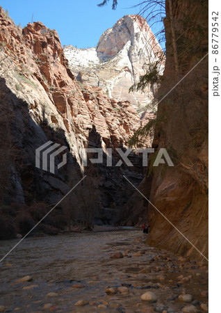 春のアメリカ・グランドサークルドライブ 86779542