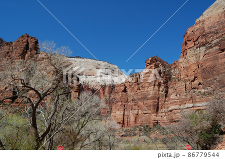 春のアメリカ・グランドサークルドライブ 86779544