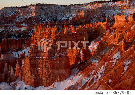 春のアメリカ・グランドサークルドライブ 86779586
