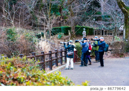 バード ウォッチング 野鳥愛好家の人達 ボカシ バード ウォッチング 野鳥愛好家の人達 ボカシ 86779642