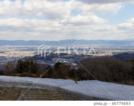 信貴山のブドウ畑と奈良盆地の風景 信貴山のブドウ畑と奈良盆地の風景 86779893