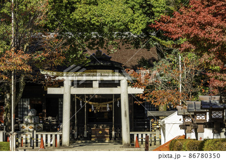 甲府 武田神社 拝殿 山梨県甲府市 甲府 武田神社 拝殿 山梨県甲府市 86780350