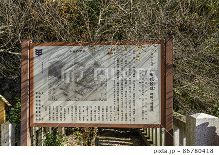 甲府　武田神社　武田氏館跡（躑躅ヶ崎館跡）　山梨県甲府市 86780418
