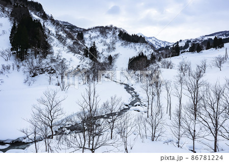 小川の雪景色 小川の雪景色 86781224