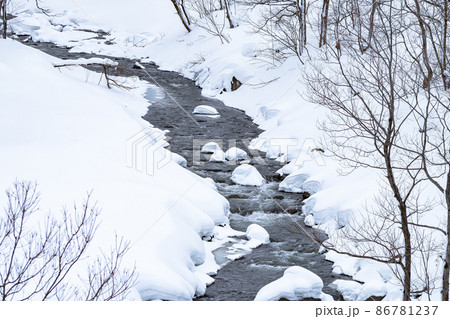 小川の雪景色 小川の雪景色 86781237