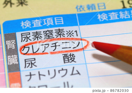 血液検査報告書（クレアチニン・腎機能指標） 86782030
