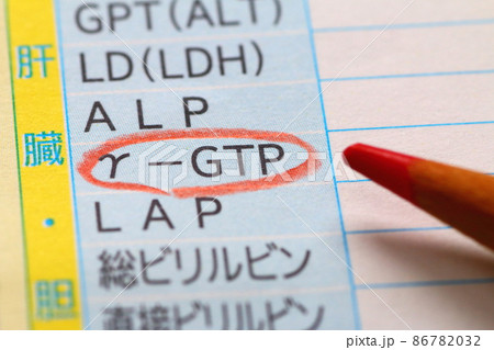血液検査報告書（γ-GTP・アルコール性肝障害の指標） 86782032