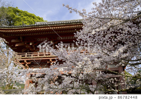 醍醐の花見 86782448