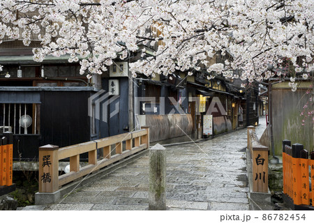 春雨の祇園 86782454