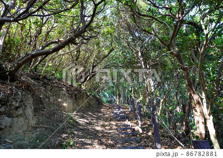 下甑島の藺落展望台への登山道 86782881