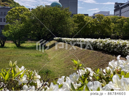 城山公園陽春 城山公園陽春 86784603