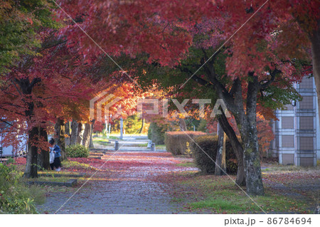 真っ赤に染まった紅葉と軽井沢の遊歩道 86784694