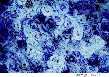 イベントに使いやすい薔薇の青い背景 イベントに使いやすい薔薇の青い背景 86784826