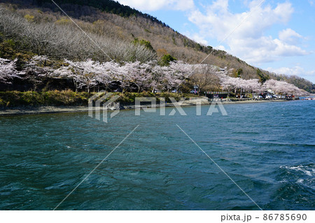 海津大崎　桜　滋賀県 86785690
