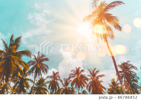 Copy space of silhouette tropical palm tree with sun light on sunset sky and cloud abstract background.  86786852